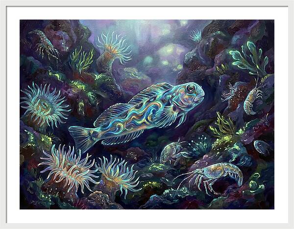 Blenny Underwater Scene