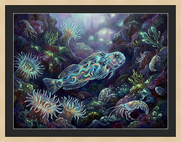 Blenny Underwater Scene