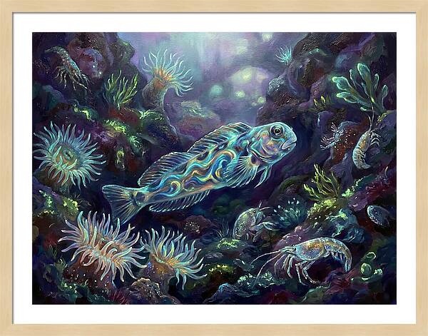 Blenny Underwater Scene