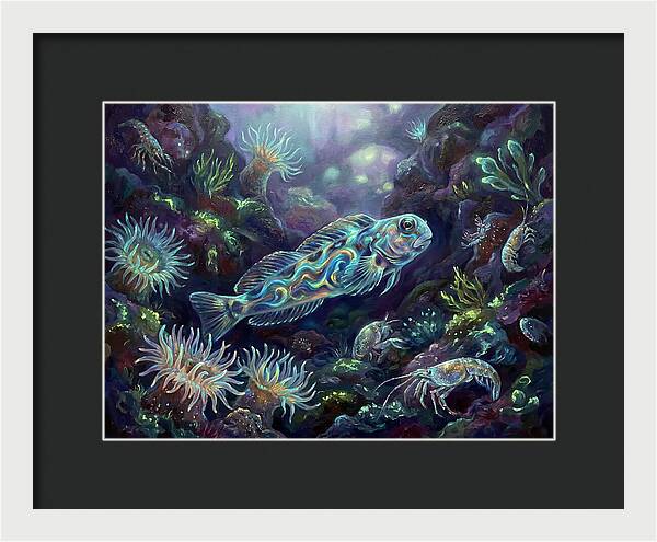 Blenny Underwater Scene