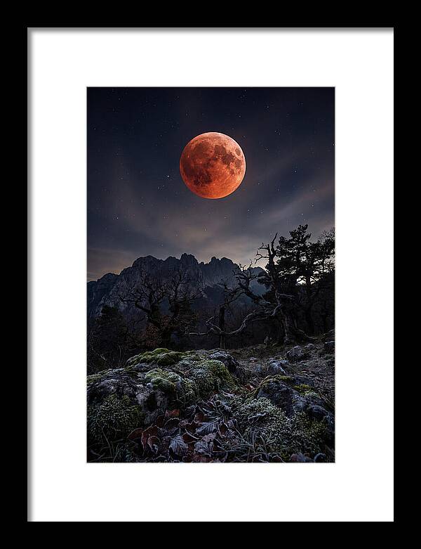 Blood Moon Eclipse