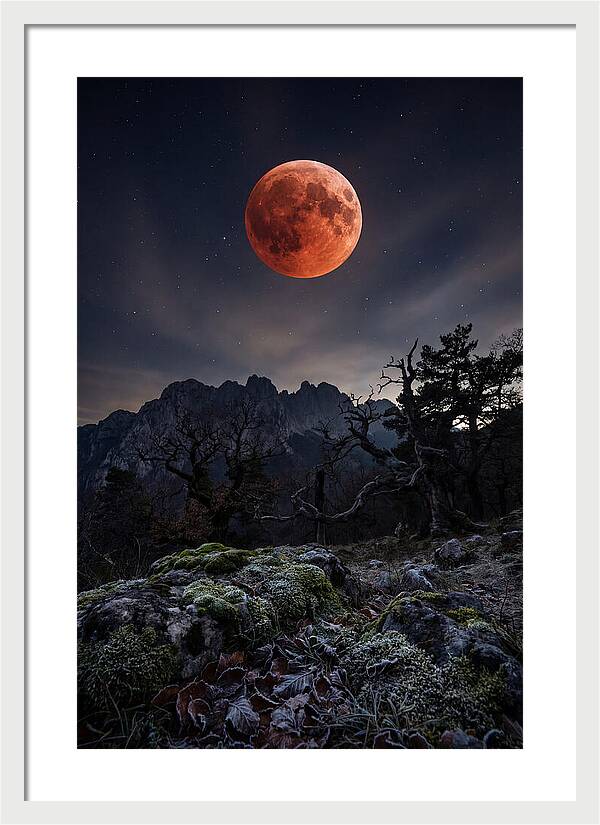 Blood Moon Eclipse