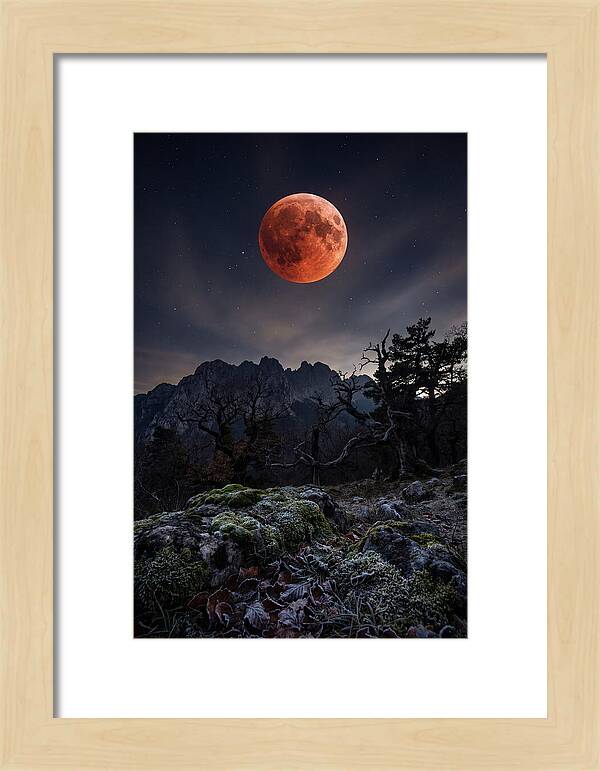 Blood Moon Eclipse