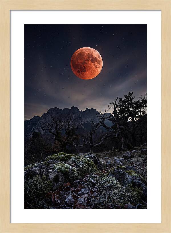 Blood Moon Eclipse