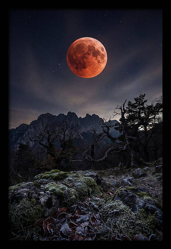 Blood Moon Eclipse