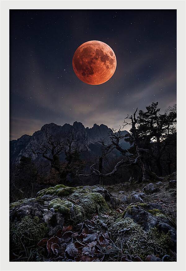 Blood Moon Eclipse