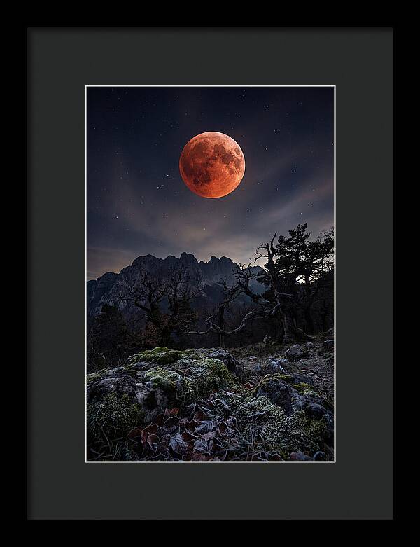 Blood Moon Eclipse