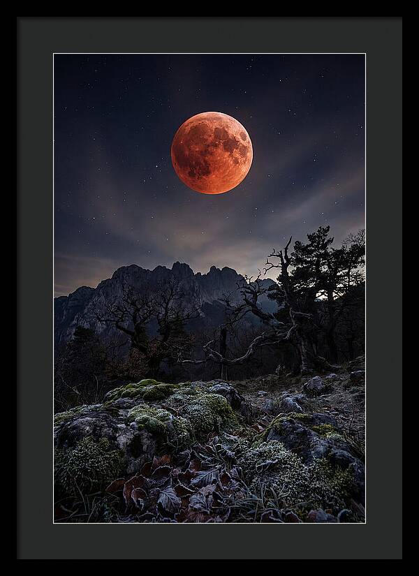 Blood Moon Eclipse