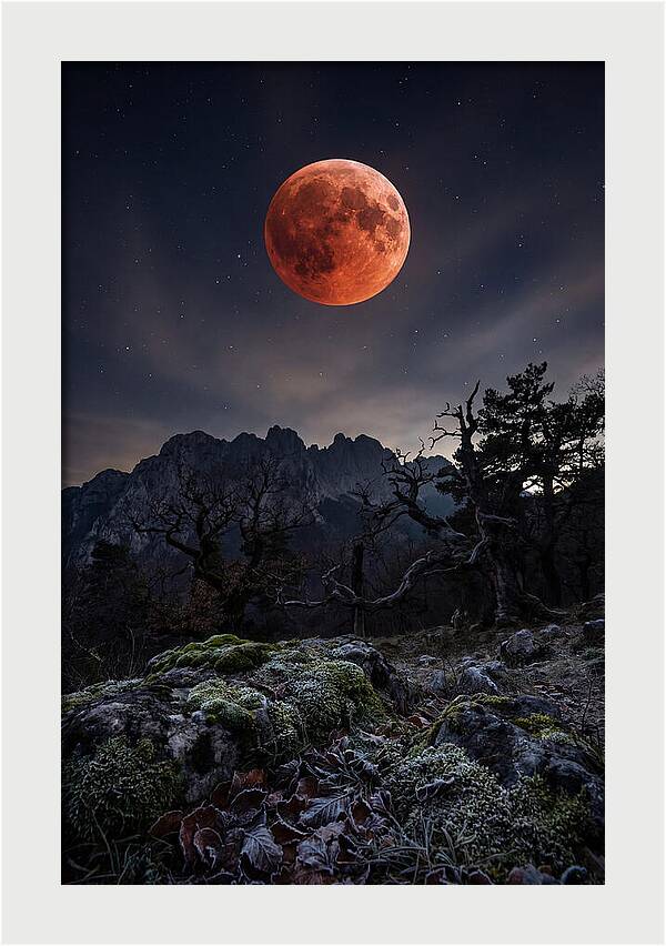 Blood Moon Eclipse