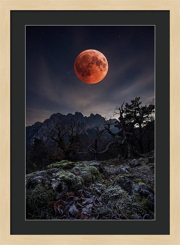 Blood Moon Eclipse
