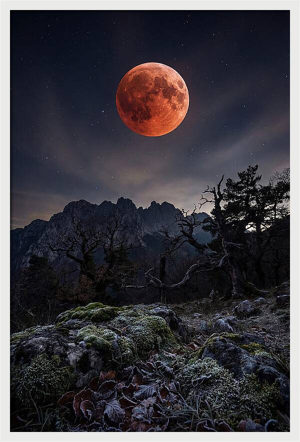 Blood Moon Eclipse