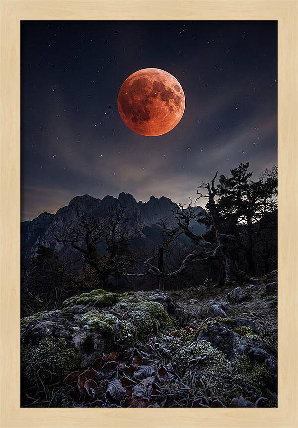 Blood Moon Eclipse