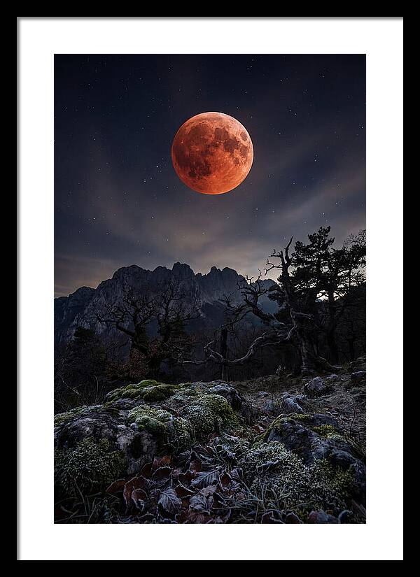 Blood Moon Eclipse