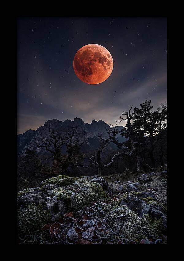 Blood Moon Eclipse