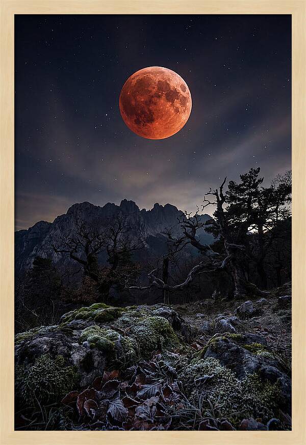 Blood Moon Eclipse