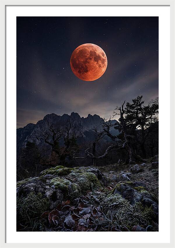 Blood Moon Eclipse