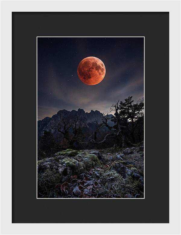 Blood Moon Eclipse