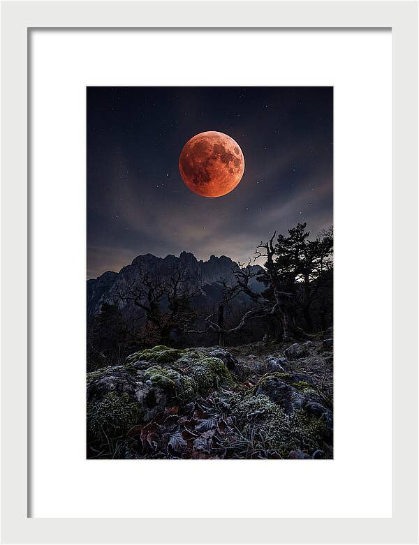 Blood Moon Eclipse