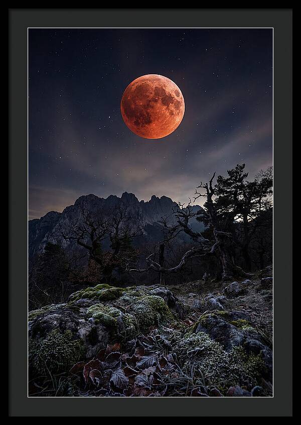 Blood Moon Eclipse