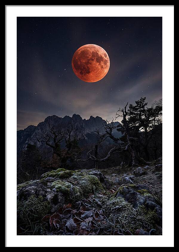 Blood Moon Eclipse