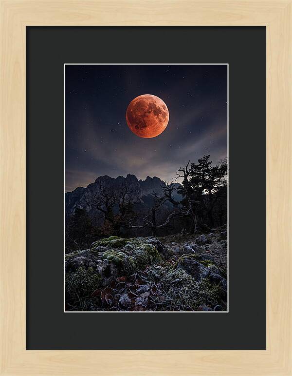 Blood Moon Eclipse