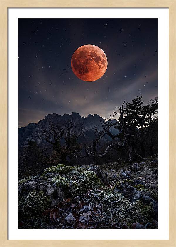 Blood Moon Eclipse