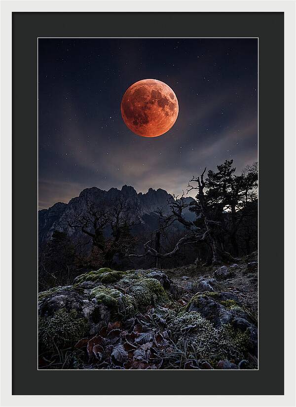 Blood Moon Eclipse