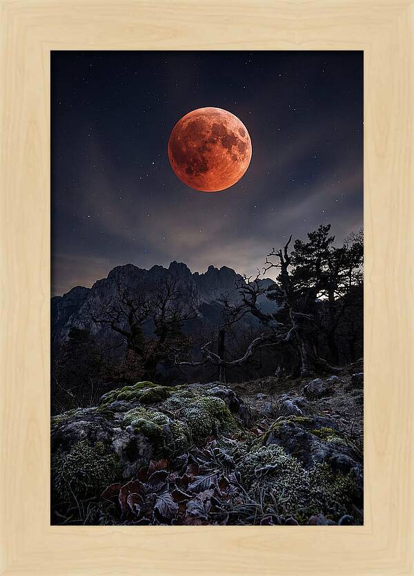 Blood Moon Eclipse