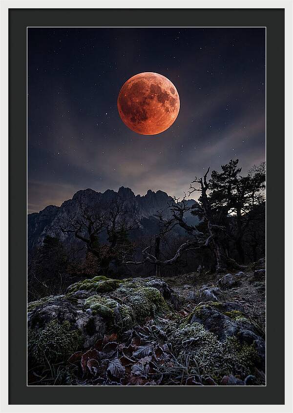 Blood Moon Eclipse