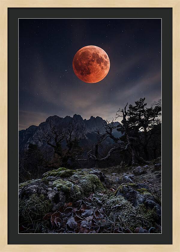 Blood Moon Eclipse
