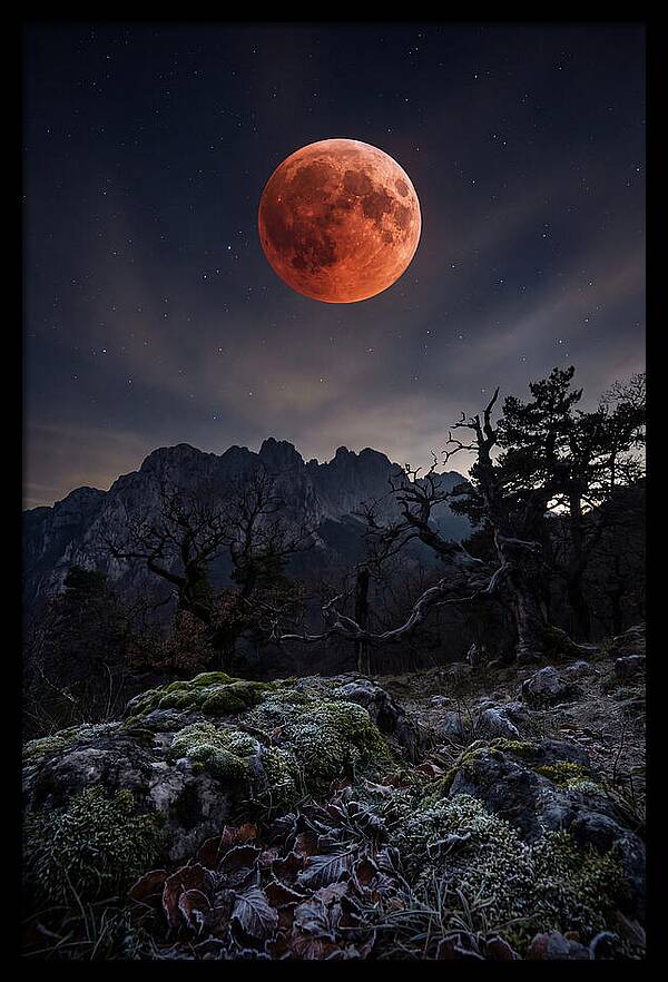 Blood Moon Eclipse