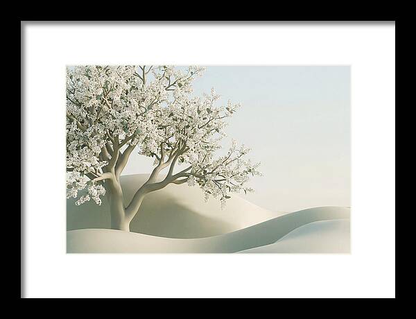 Blooming Cherry Tree Serenity