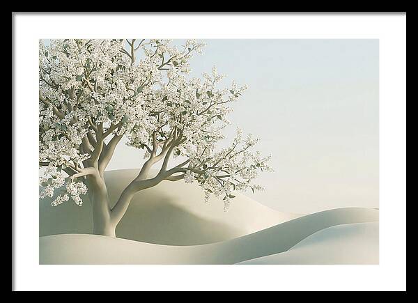 Blooming Cherry Tree Serenity