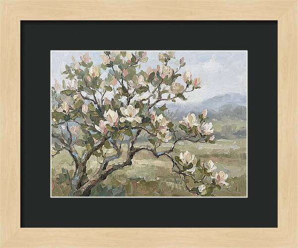 Blooming Magnolia Splendor