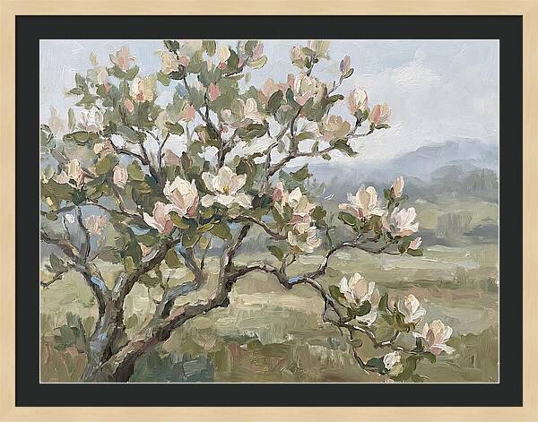 Blooming Magnolia Splendor