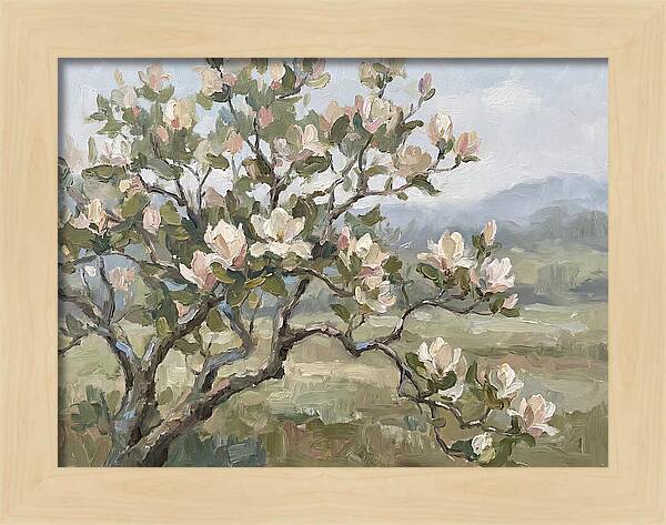 Blooming Magnolia Splendor