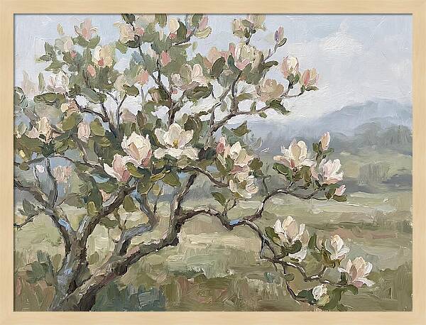 Blooming Magnolia Splendor