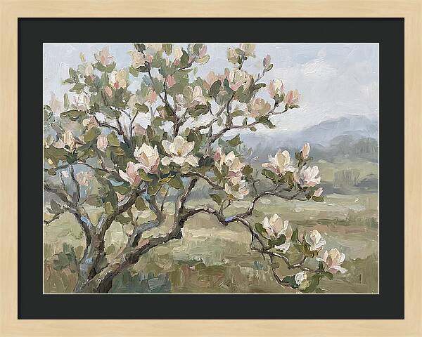 Blooming Magnolia Splendor