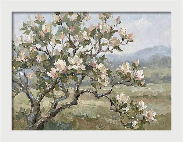 Blooming Magnolia Splendor