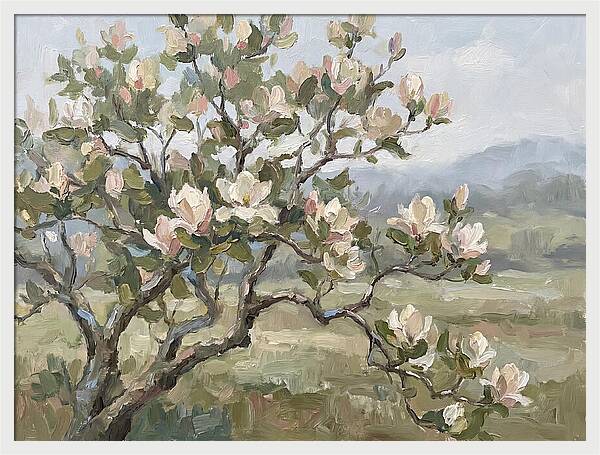 Blooming Magnolia Splendor