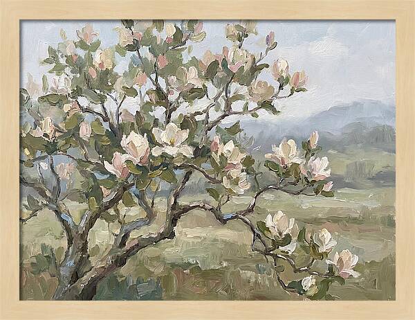 Blooming Magnolia Splendor