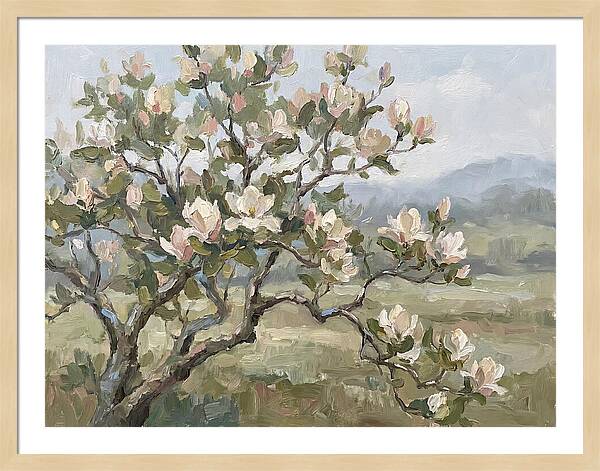 Blooming Magnolia Splendor
