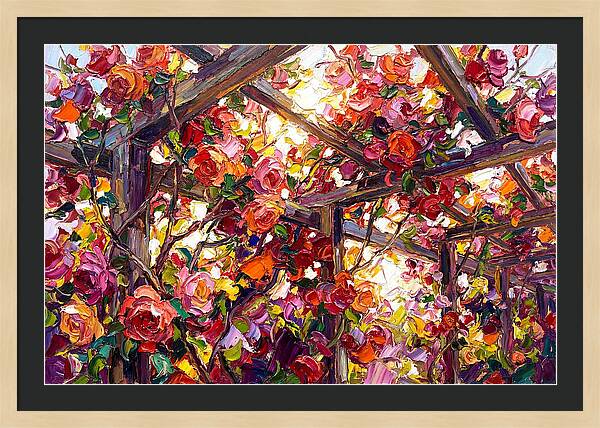 Blooming Rose Arbor