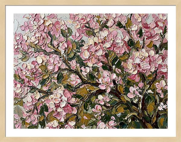 Blossom Tree In Bloom