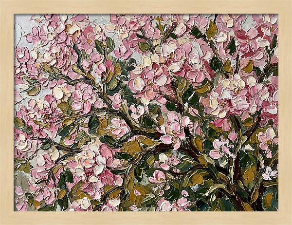 Blossom Tree In Bloom