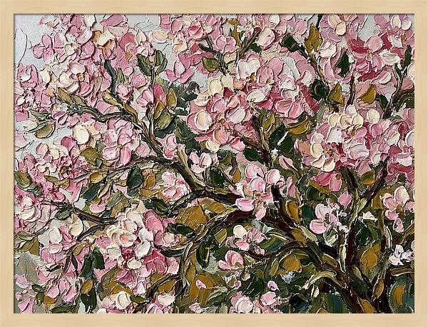 Blossom Tree In Bloom