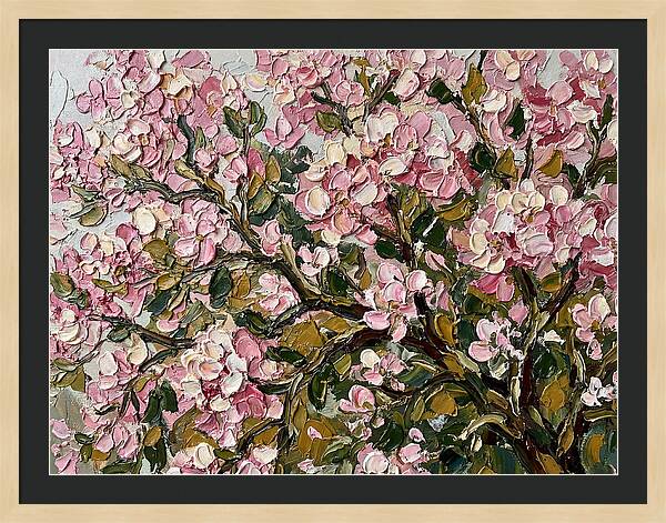 Blossom Tree In Bloom
