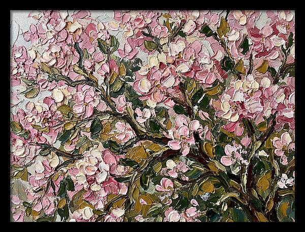 Blossom Tree In Bloom