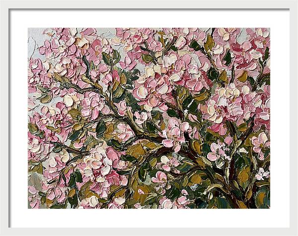 Blossom Tree In Bloom