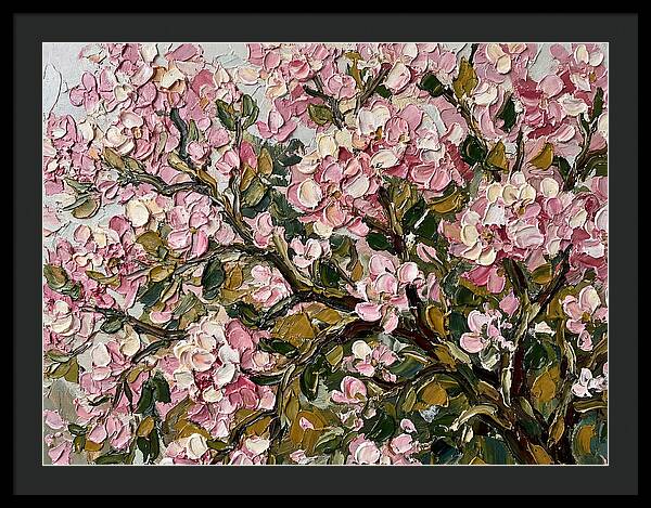 Blossom Tree In Bloom